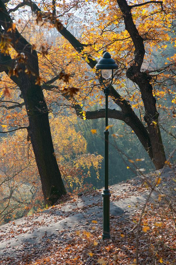 Schody do nebe - FOTOGRAFIE